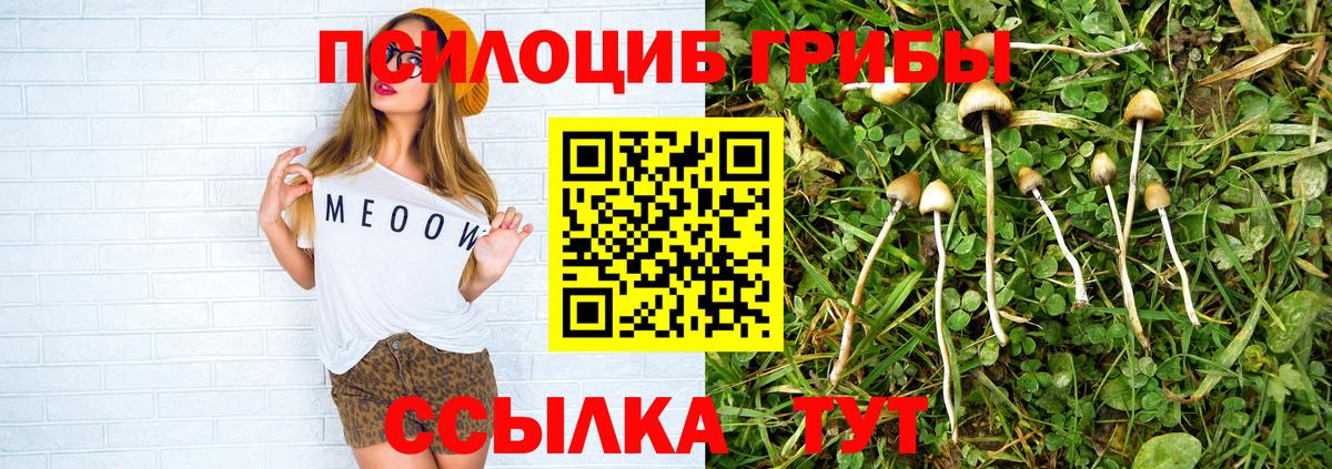 Галлюциногенные грибы прущие грибы Урюпинск